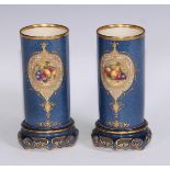 A pair of Royal Worcester cylindrical vases, painted by E Townsend, signed, with ripe fruit om a