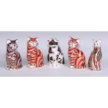 Royal Crown Derby paperweights, Mother Cat, Siamese Cat, Ginger Cat and Sitting Cat, all with gold