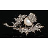 A Victorian diamond and pearl brooch, set with a single pearl accents, with pave encrusted with