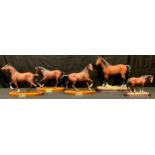 Equestrian Interest - a collection of model Horses including a John Beswick 'Spirit of the Wind'