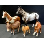 A Beswick model Appaloosa stallion A1772, gloss; others Skewbald Pinto Pony, 1373, style 1;