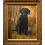 John Trickett (bn. 1952), Black Labrador puppy, Autumnal light , signed, oil on canvas, 60.5cm x