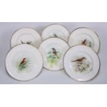 A Royal Worcester plate, painted by W. Powell, signed, with a Chaffinch, gilt dentil rim, 15cm diam,