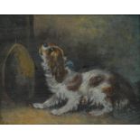 Interior Decoration - a furnishing picture, King Charles Spaniel, print, decorative gilt frame, 44cm