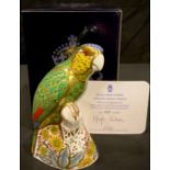 A Royal Crown Derby paperweight, Amazon Green Parrot, specially commissioned, limited edition 919/