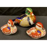 A Royal Crown Derby paperweight, Carolina Duck, gold stopper, a pair of Ducklings, gold stoppers (3)