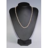 A single strand Calfund pearl necklace, with pearls of uniform size, each knotted, 22cm drop, the