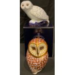 A Royal Crown Derby paperweight, Snowy Owl, Collector's Guild exclusive, gold stopper, boxed;