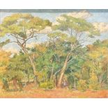 Crediton (South African School, 20th century) Veldt Landscape inscribed stretcher, oil on canvas
