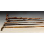 A 19th century walking stick, horn handle, plated mount, 87cm long; others (5)