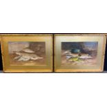 Alexander Francis Lydon (1836-1917) A Pair, Pike and other Fish signed, watercolour, 48cm x 70cm