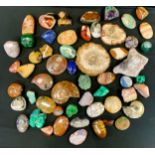 Geology - rock specimens - malachite; felspar, flourite, a sand dollar, ; hardstone owl; a frog;