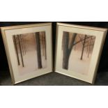 Patrick St German, after, Trees in Winter, coloured prints, 71cm x 50cm, silvered frames(2).