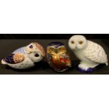 A Royal Crown Derby paperweight, Owl, gold stopper; others, Little Owl, gold stopper; Snowy Owl,