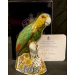 A Royal Crown Derby paperweight, Amazon Green Parrot, special commission, limited edition 483/2,500,