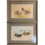 R. Mackey, a pair, 'Eiders' and 'Teal', signed, dated 1977, and 1976 respectively, watercolours,