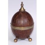 An early 20th century coconut cup and cover, knop finial, bun feet, 18cm high