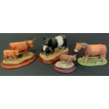 A Border Fine Arts model Highland Cow & Calf, B167; others Belted Galloway Cow & Calf, A2693;