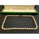 A cultured pearl single strand necklace, individually knotted creamy pearls, approx 7mm diameter,