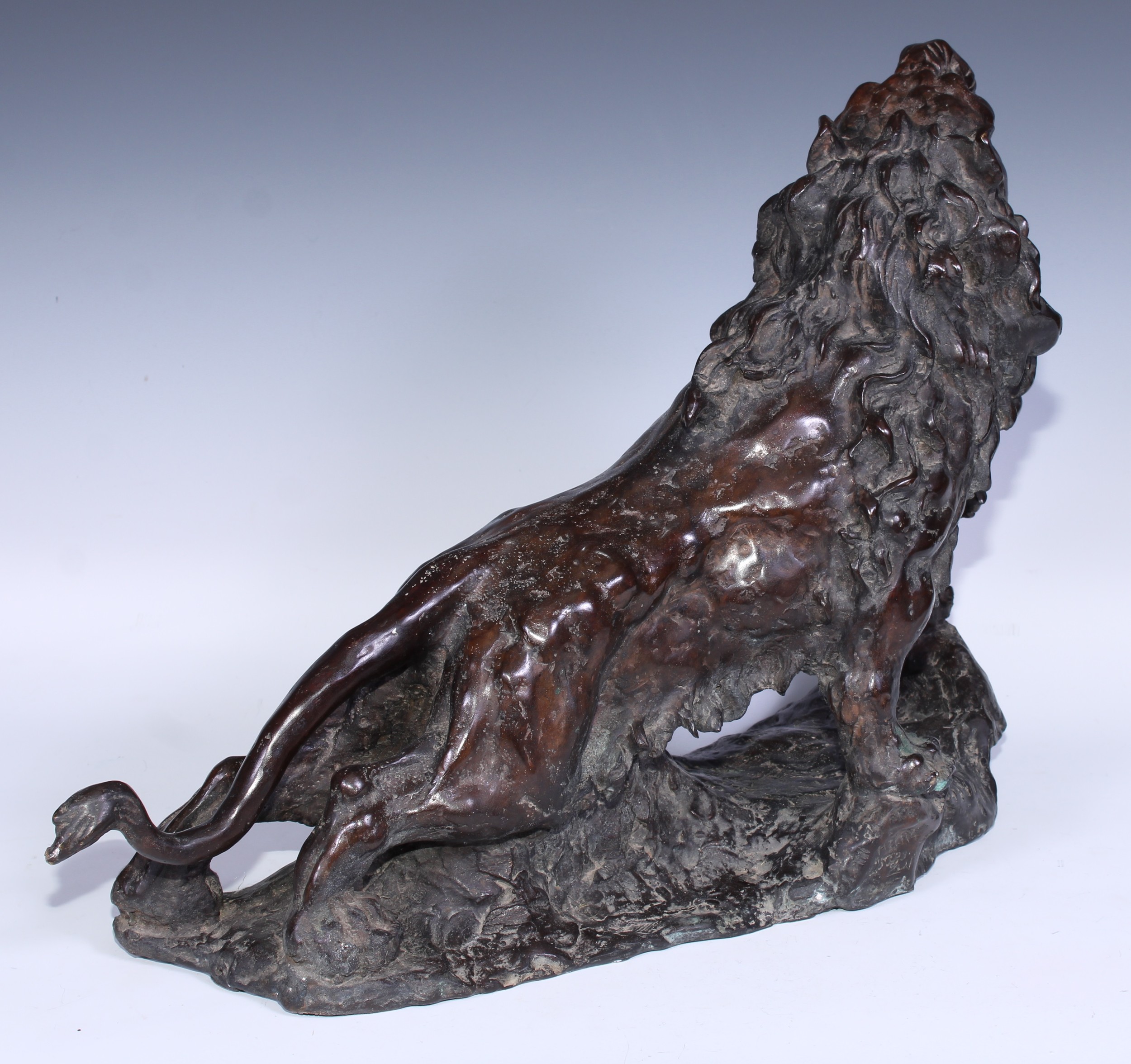 Continental School, a brown patinated bronze, of a ferocious lion, 54cm wide - Bild 3 aus 3