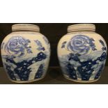A pair of Chinese blue and white ginger jars and covers, each decorated with Chrysanthemums and