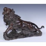 Continental School, a brown patinated bronze, of a ferocious lion, 54cm wide