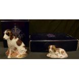 A pair of Royal Crown Derby paperweights, Molly and Scruff, Collector's Guild Exclusives, gold