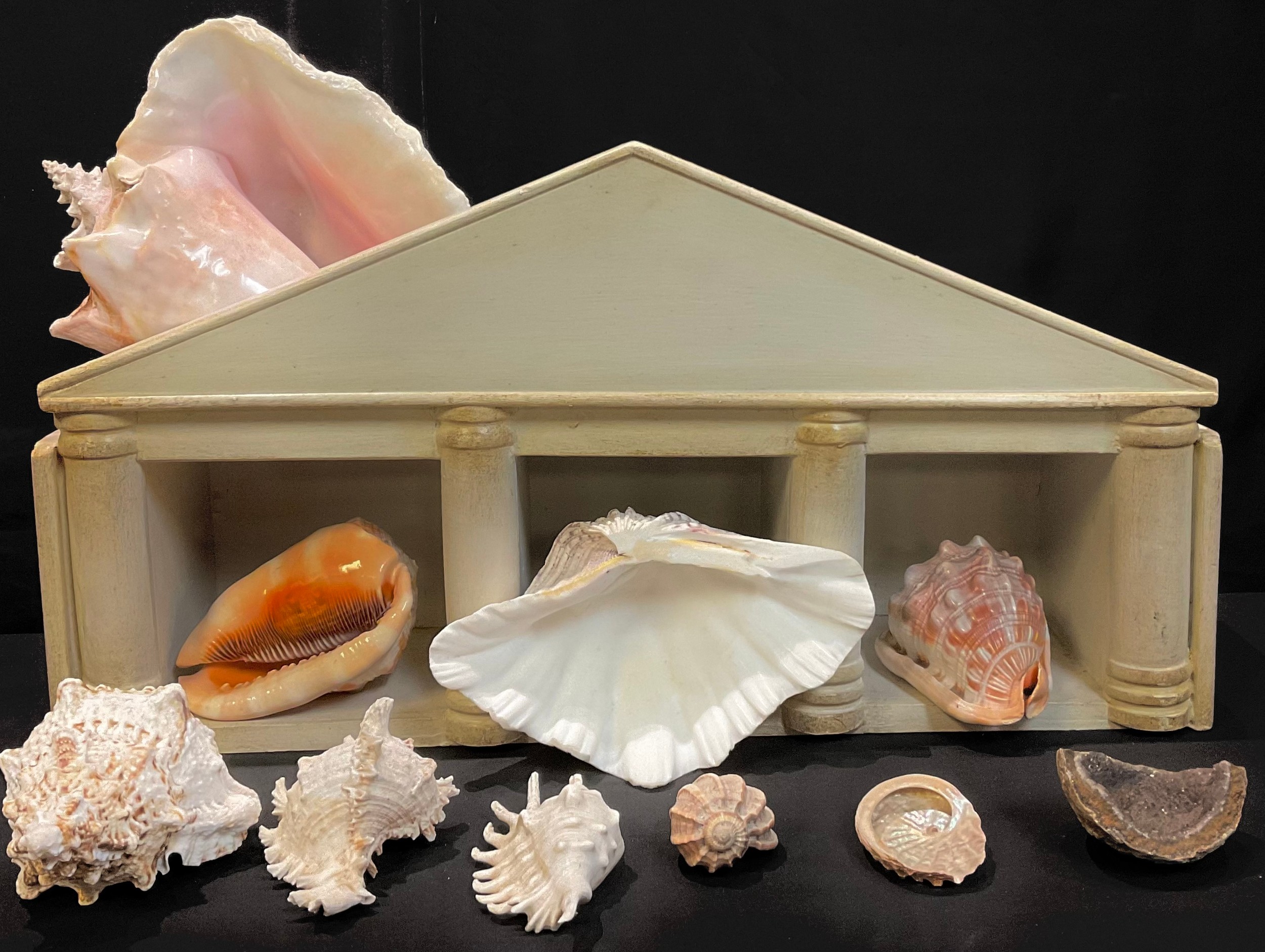 Natural History - a collection of shells including large Conch, etc; corals, etc; an architectural