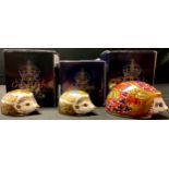 A Royal Crown Derby paperweight, Orchard Hedgehog, Collector's Guild Exclusive, gold stopper, boxed;