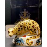 A Royal Crown Derby paperweight, Endangered Species, Savannah Leopard, Sinclairs exclusive