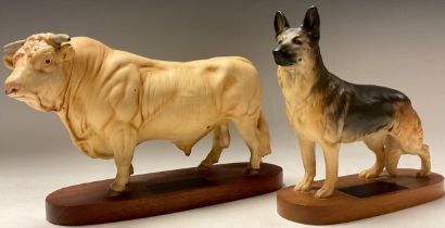 A Beswick Connoisseur model, Charolais Bull, oval mahogany stand; another Alsatian (2)
