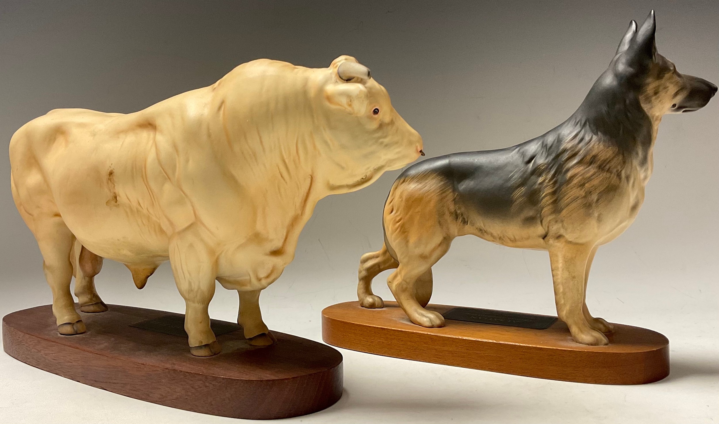 A Beswick Connoisseur model, Charolais Bull, oval mahogany stand; another Alsatian (2) - Image 2 of 2