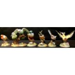 A Royal Crown Derby ornithological model, Kingfisher, 13cm high, printed marks; others, Bullfinch;