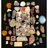 Natural History - Geology and Palaeontology - a collection of rock, mineral and fossil specimens
