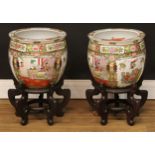 A pair of Chinese famille rose fish bowls, hardwood stands, 48.5cm high on stand, 31.5cm diameter (