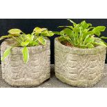 A pair of octagonal garden urns, 26cm high, planted with hostas **Please note that some of the