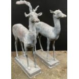 A pair lead garden statues, of a stag and doe, standing, rectangular bases, possibly based on the