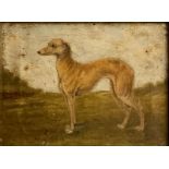 English School (19th century) Portrait of a Greyhound oil on canvas, 23.5cm x 31cm