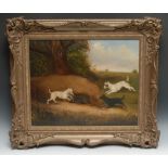 English School (19th century) Terriers Baiting a Badger oil on canvas, 39cm x 48.5cm