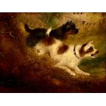 English School (19th century) Terriers Ratting oil on canvas, 14cm x 18.5cm