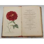 Botany – Hogg (Thomas, Florist), A Concise and Practical Treatise on the Growth and Culture of the