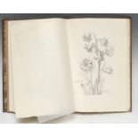 Botany - Robert (Nicholas), Variæ ac Multiformes Florum [...], Diverses Fleurs dessinees et