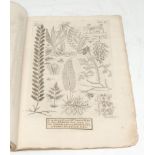 Americana, Natural History in the Enlightenment Caribbean - [Petiver (James, FRS)], Pteri-Graphia