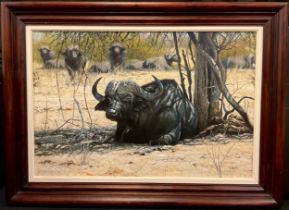 Pip McGarry (bn. 1955), African Water Buffalo, signed, dated 2003, oil on canvas, 50.5cm x 76cm.