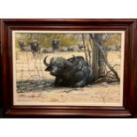 Pip McGarry (bn. 1955), African Water Buffalo, signed, dated 2003, oil on canvas, 50.5cm x 76cm.