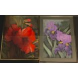 Jean Clarke/Jean Davey Winter (20th century) A Near Pair of Botanical Studies - Flag Irises, signed,