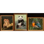 M F Miller (contemporary) Panda signed, oil on canvas, 64cm x 49cm; others, Kingfisher; Barn Owl (3)