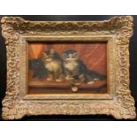 In the manner of Bessie Bamber (fl.1900 - 1910) Four Kittens signed with initials, oil on board,