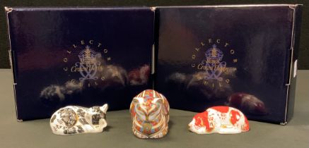A Royal Crown Derby member pack Paperweight Misty Kitten; another Puppy, both boxed; Sleeping cat,