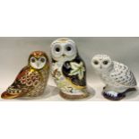 A Royal Crown Derby paperweight, Twilight Owl, gold stopper, printed mark; two others, Snowy Owl and